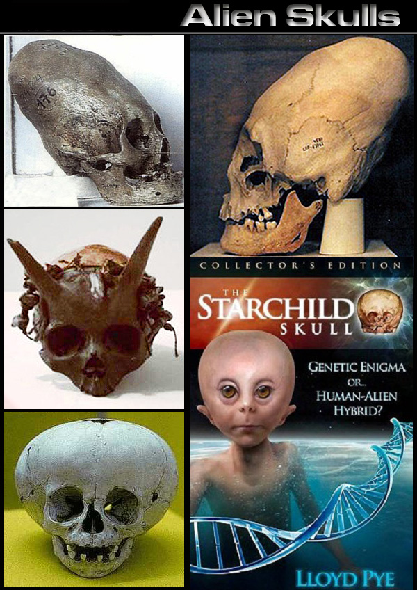 extraterrestrial alien skulls