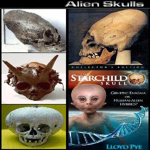 Alien Skulls found on Earth